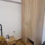 The Ozzy * Brașov
