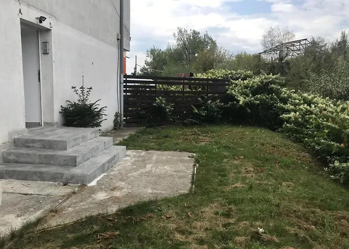 The Ozzy براشوف