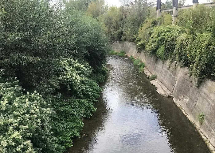 The Ozzy براشوف